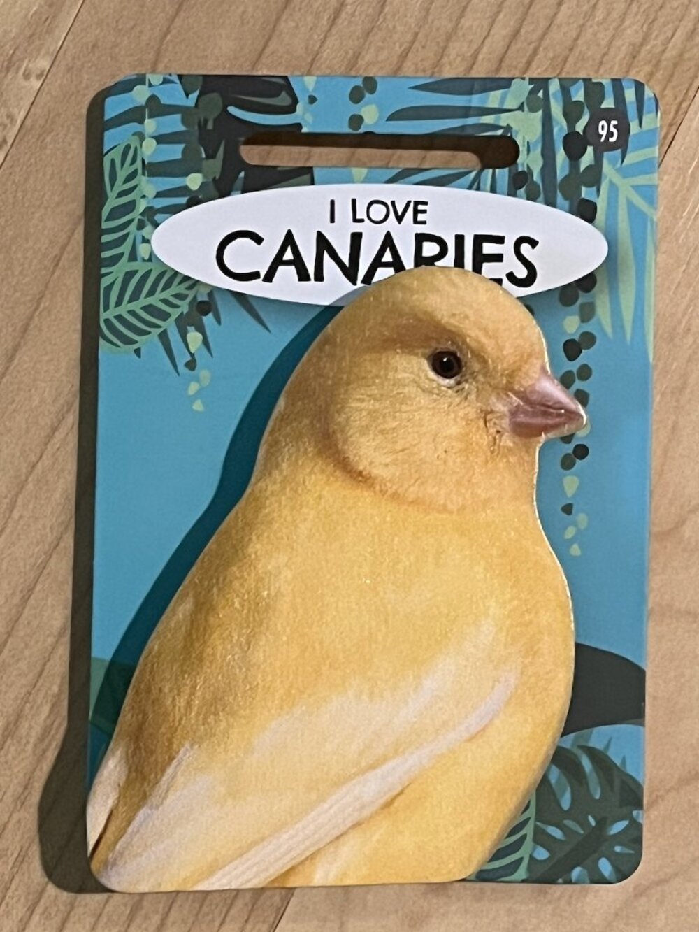 Pet & Critter I LOVE CANARIES Wooden Bag Clip, Fridge Magnet NWT